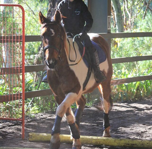 listing gallery item