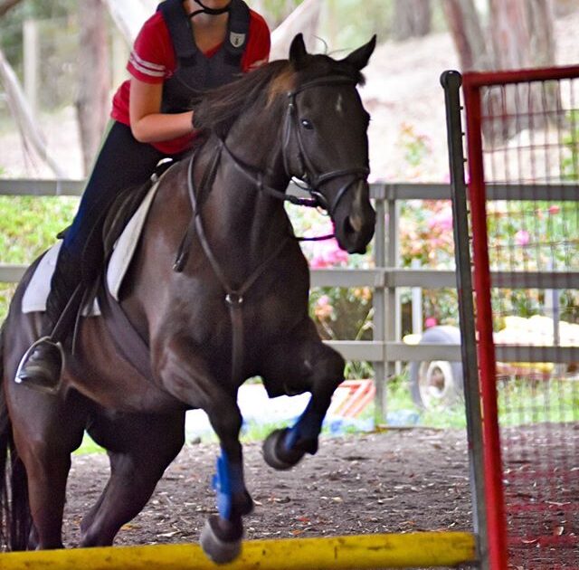 listing gallery item