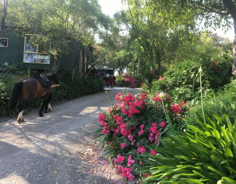 listing gallery item