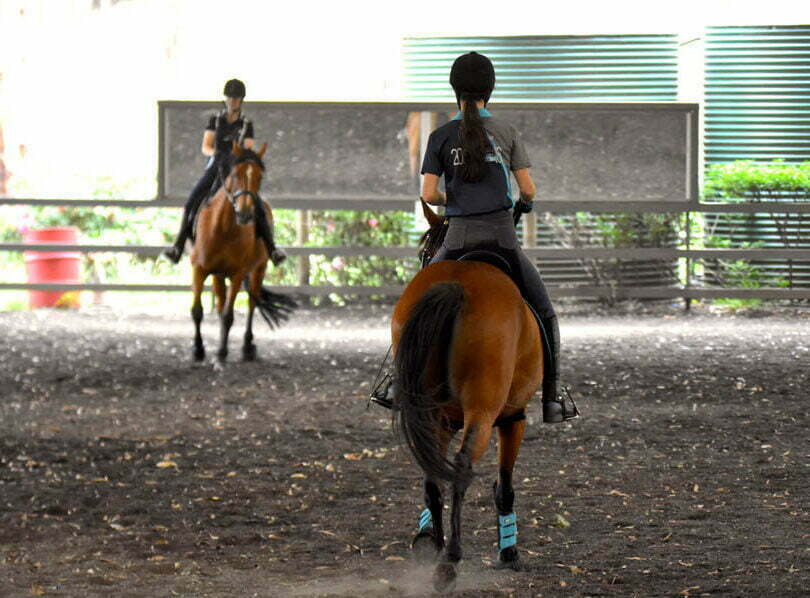 listing gallery item