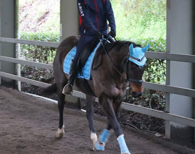 listing gallery item