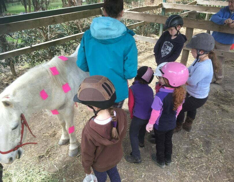 listing gallery item