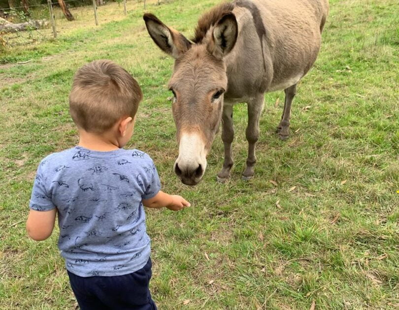 listing gallery item