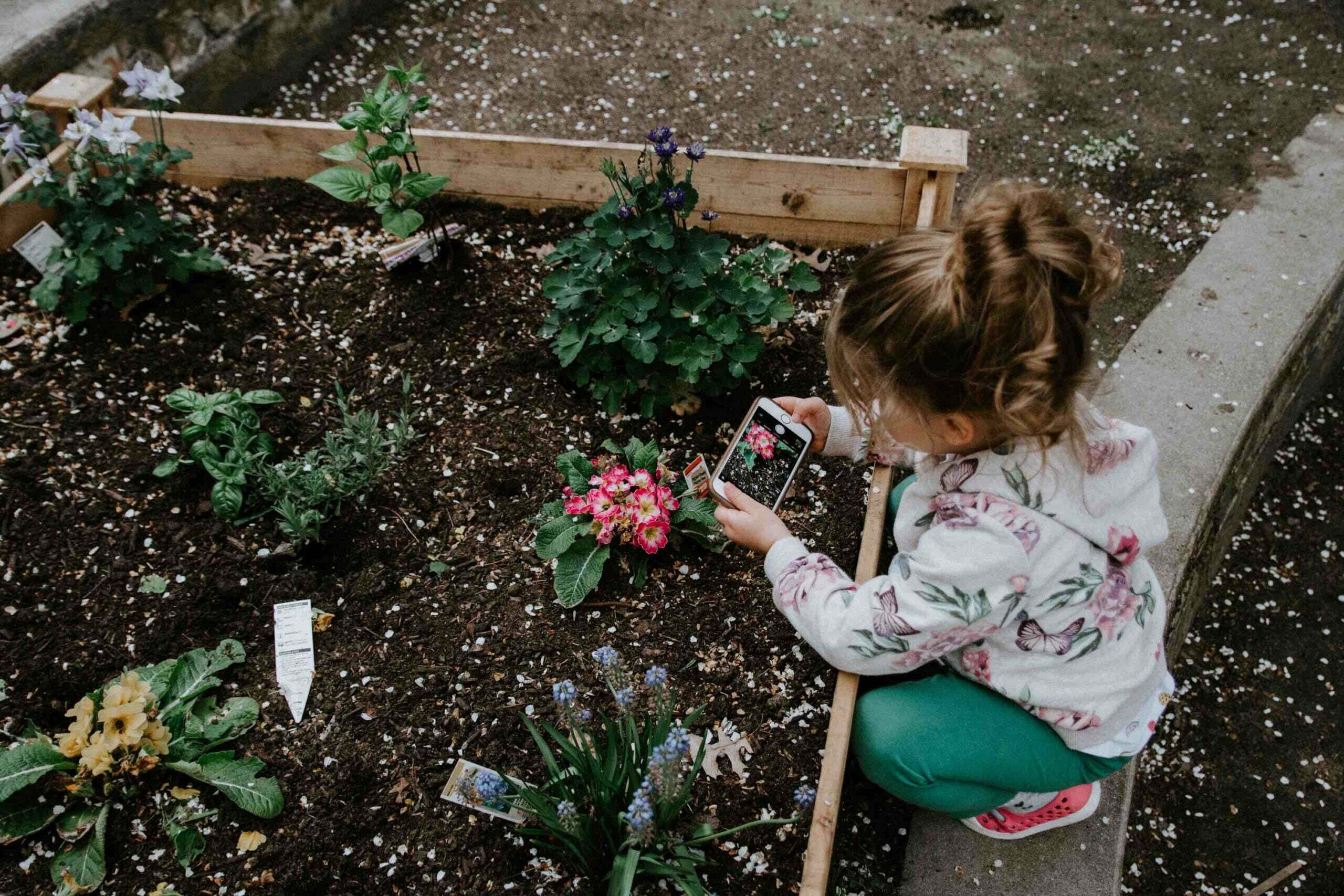 Gardening Activities for Kids and Toddlers