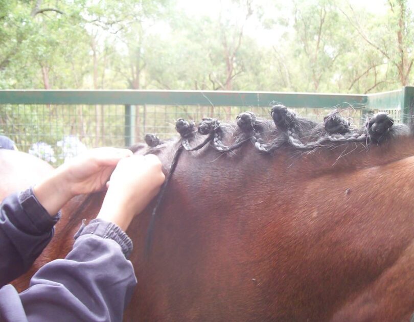 listing gallery item