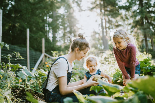 Tips to Get Children Involved In The Garden