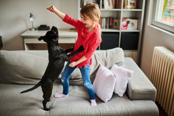 What is the best pet for families?