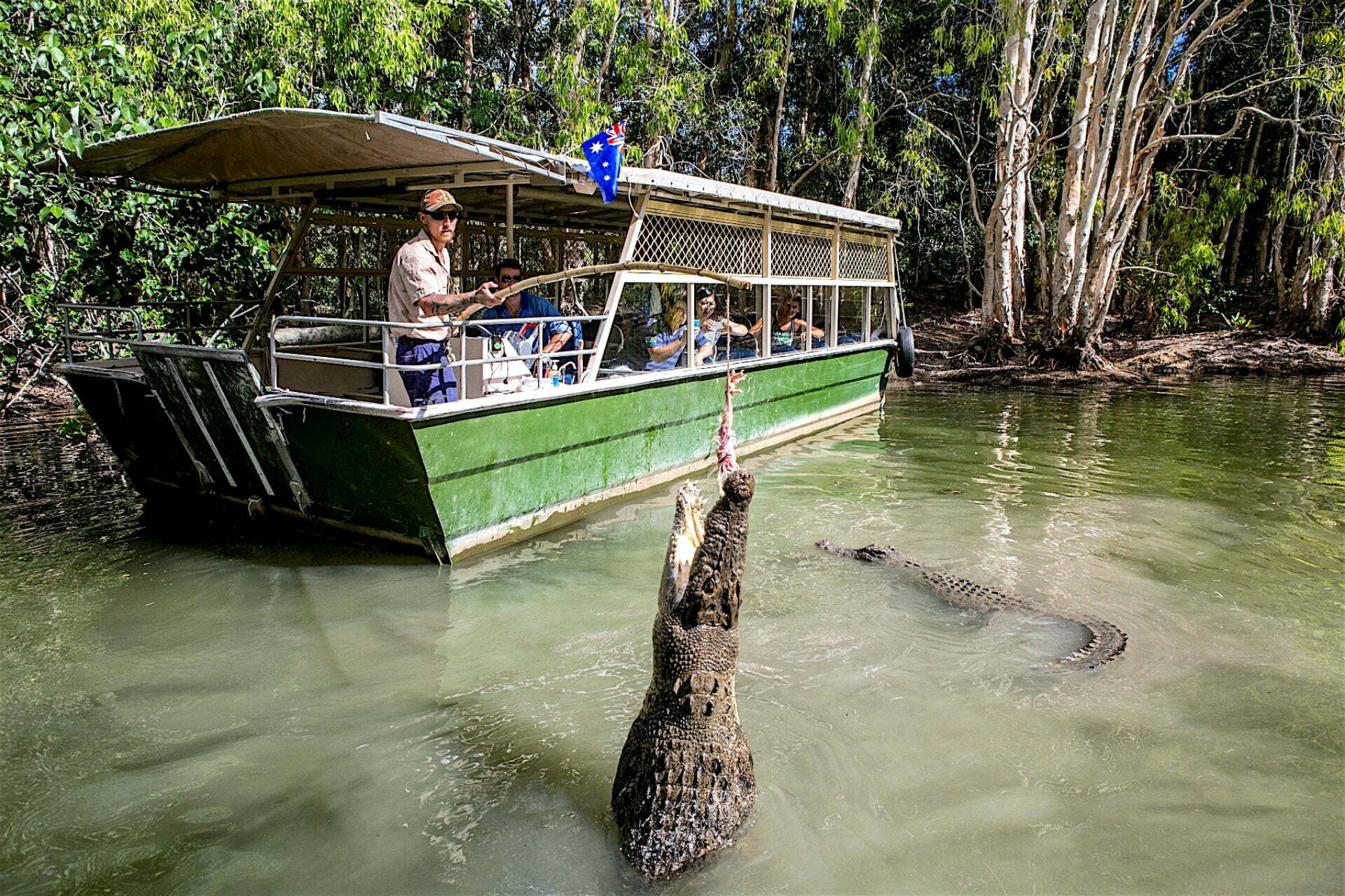 Hartley's Crocodile Adventures