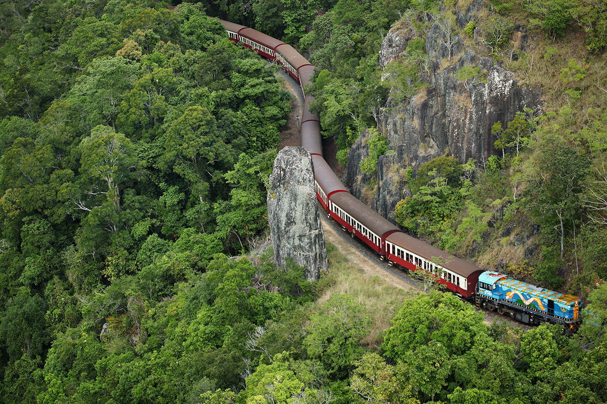 Skyrail Rainforest Cableway and Train Tour