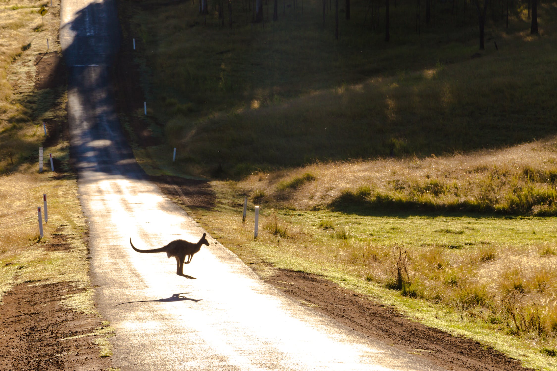 Australian symbols