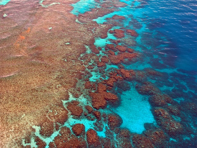 Great Barrier Reef cairns