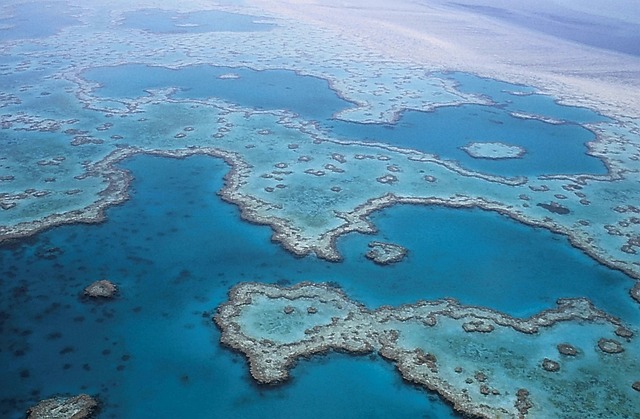 Best time to Visit the Great Barrier Reef