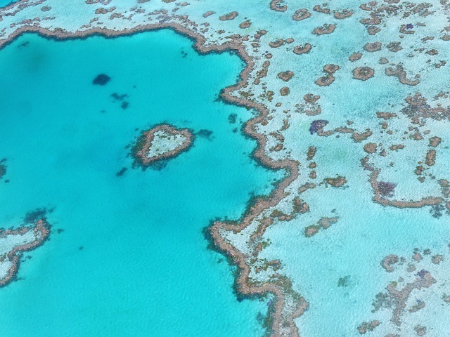 why do people visit the great barrier reef