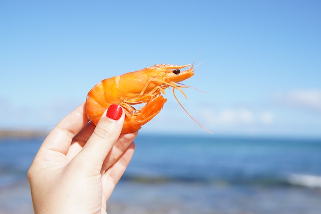 Eating prawns Christmas Australia