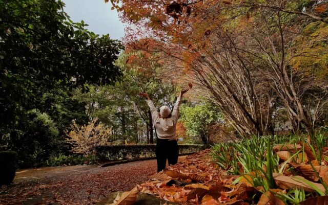 Exploring the Blue Mountains Botanic Garden – Mount Tomah