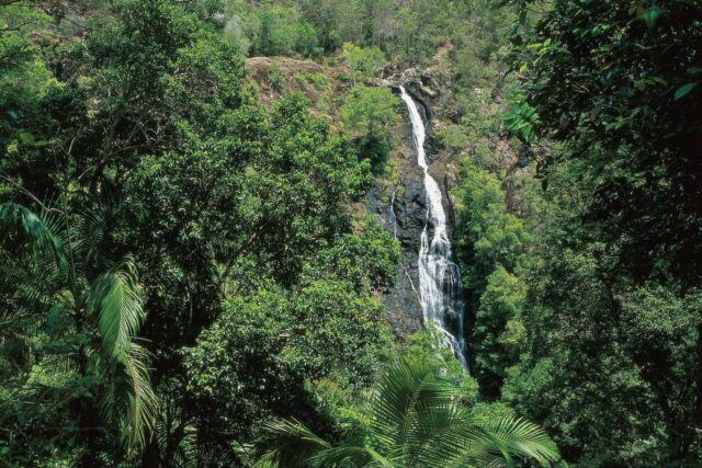 Exploring the 5 Most Beautiful Waterfalls in Sunshine Coast