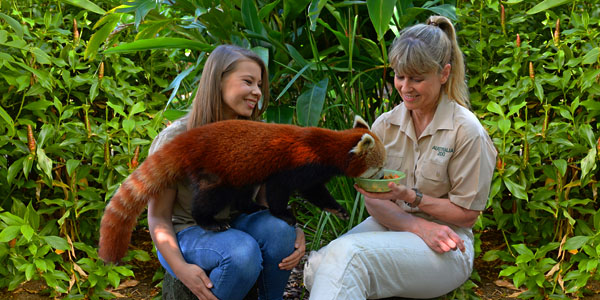 A Guide to Visiting Australia Zoo in Sunshine Coast