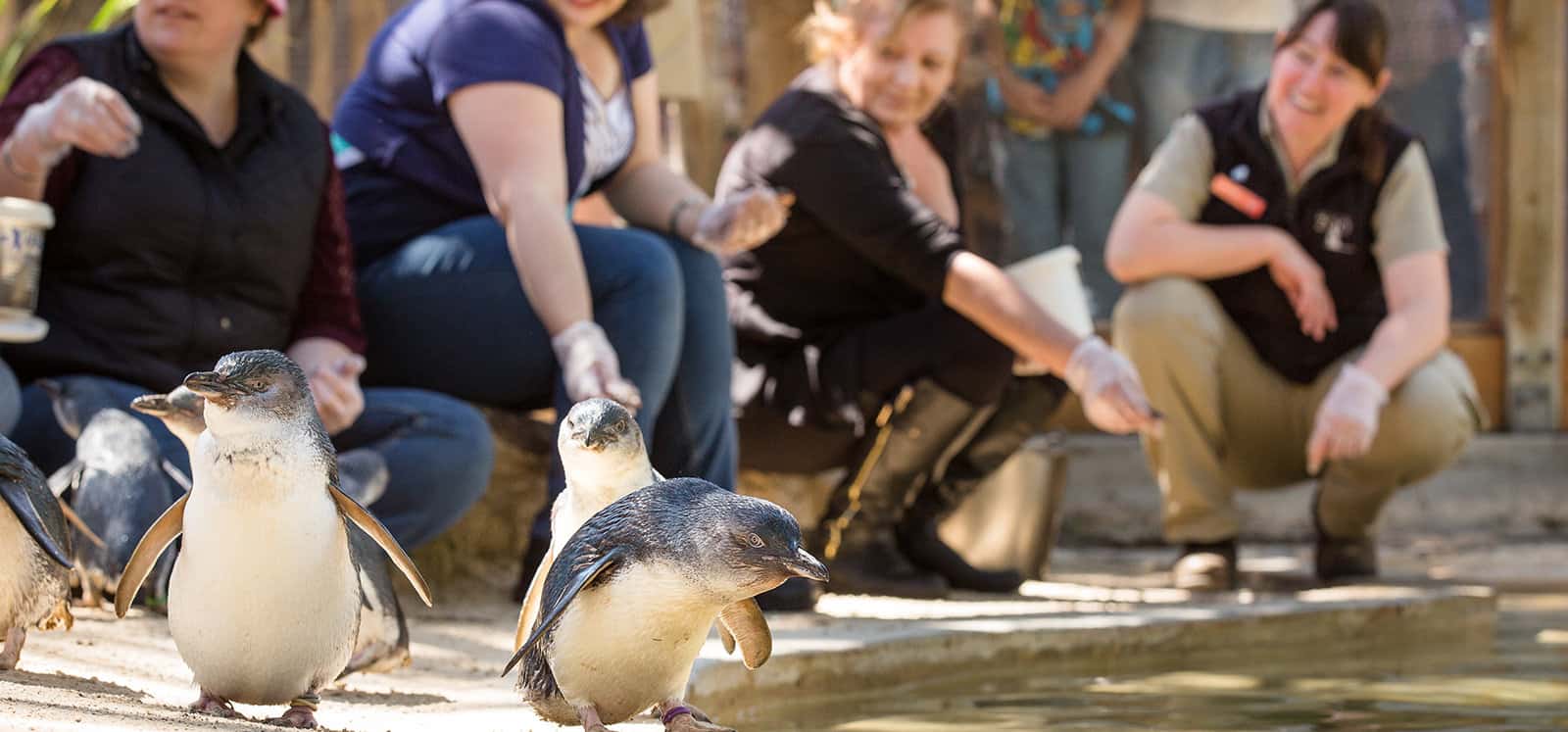 Adelaide Zoo