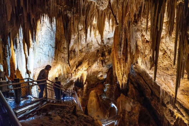 Tasmanian National Park Passes