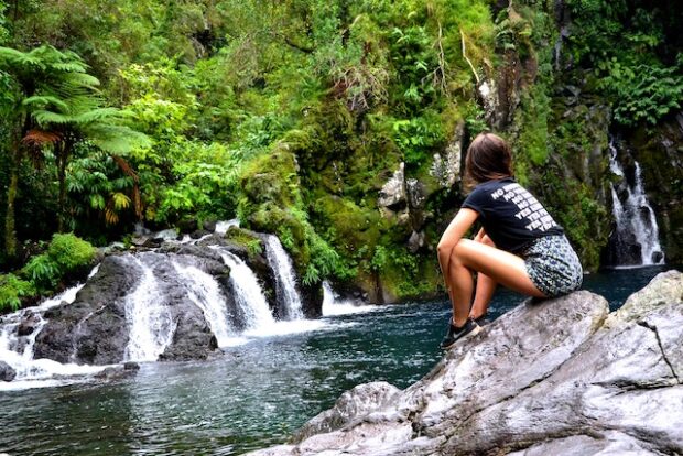 rain forest in australia