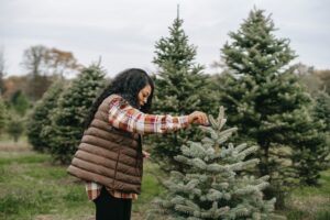 Christmas Tree Farms