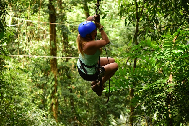 Treetop Walk