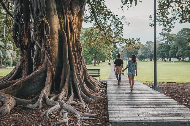 When is Summer in Australia?