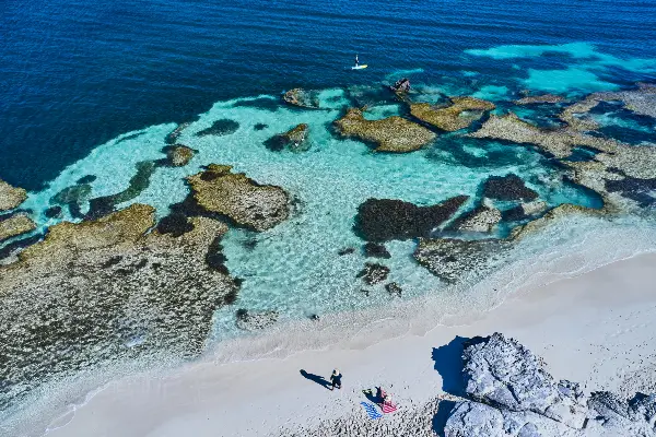 what to do in rottnest island