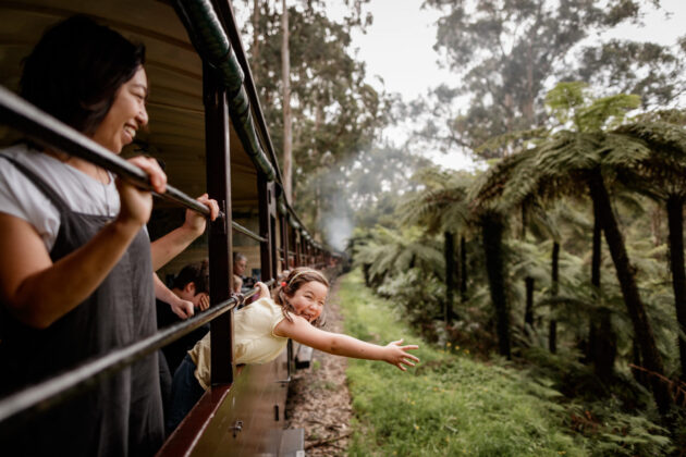 steam train puffing billy