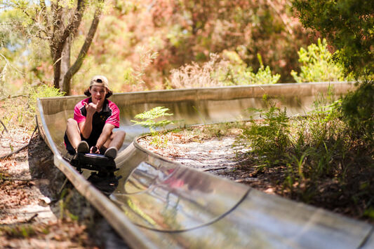 Toboggan Hill Park – Famous Forest Slide