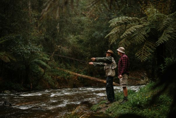 Toorongo Falls Reserve – Noojee Primitive Forest Waterfall