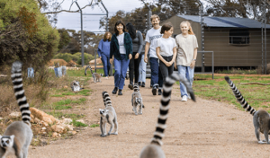 monarto zoo south australia