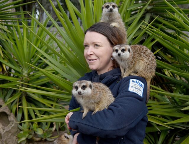 ballarat wildlife park