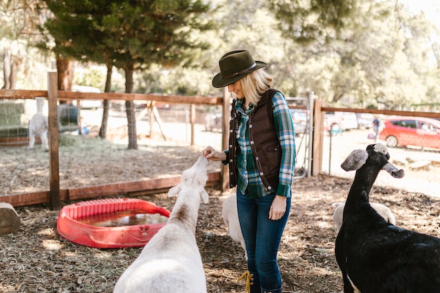 Best Animal Farms in Melbourne you should visit