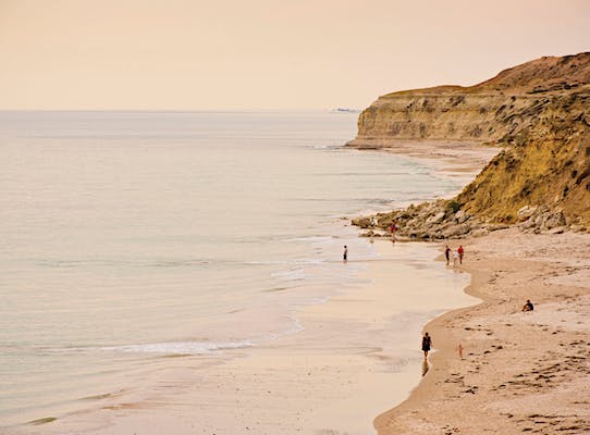 Must-Visit Beaches in Adelaide