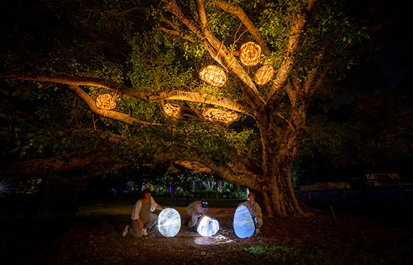 Botanica – Brisbane’s Botanic Gardens Light Festival