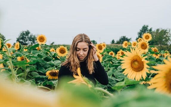 Beautiful Sunflower Fields near Melbourne