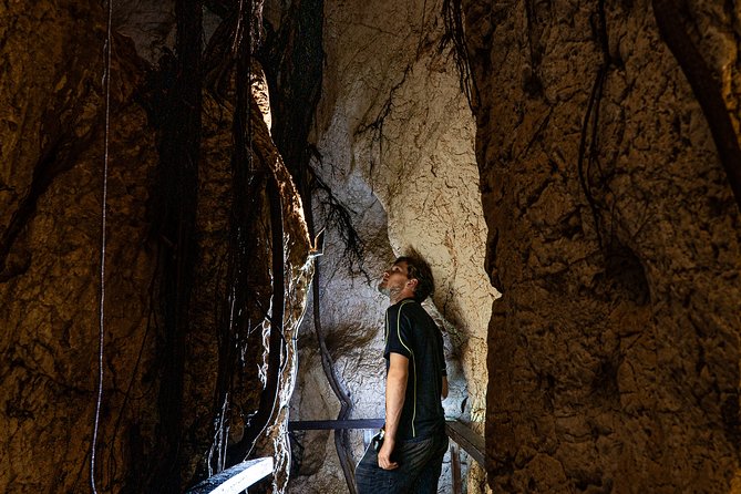 Amazing Caves to Explore in Queensland