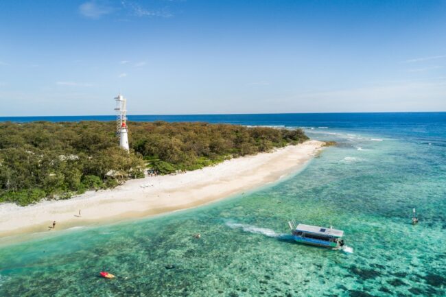 Lady Elliot Island – Things you need to know