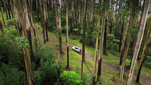 Australia's Top Scenic Drives