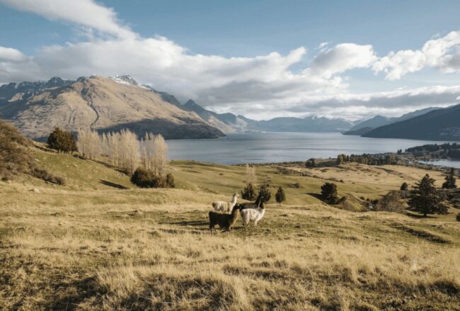 Deer Park Heights – Must-Visit Attraction in Queenstown