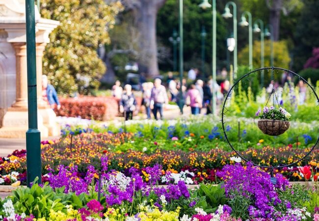 Toowoomba Flower Festival 2023 Event Guide