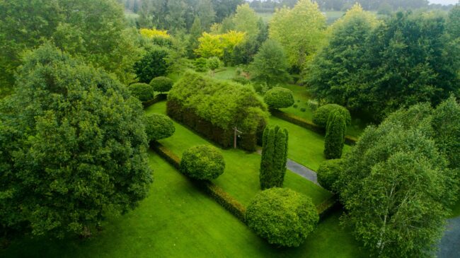 Tree Church New Zealand