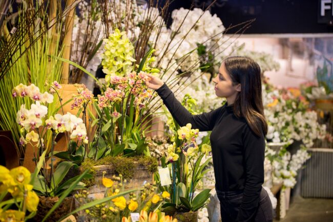 Brisbane's Largest Flower Market in Rocklea