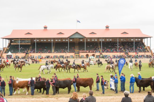 Royal Adelaide Show 2023 – Everything You Need to Know