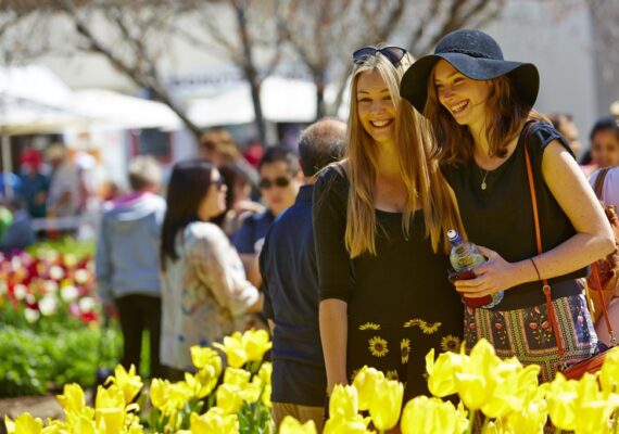 Tulip Time Festival