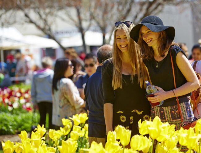 Tulip Time Festival