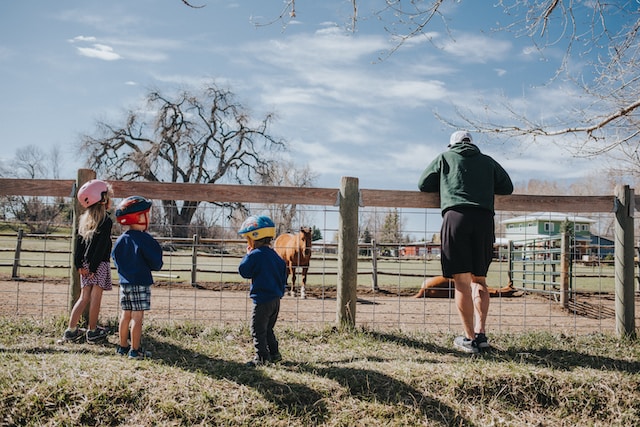 Best Animal Farms Around Sydney