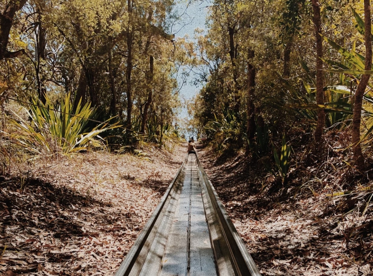 Toboggan Hill Park - Famous Forest Slide