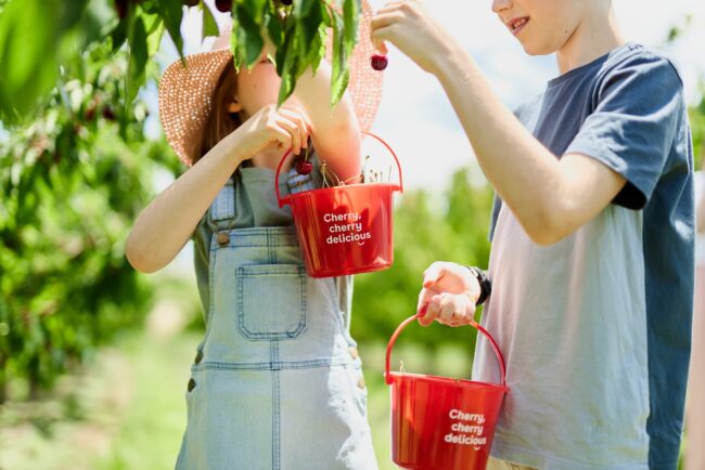 CherryHill Cherry Picking Guide